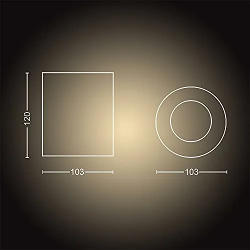 Philips Hue Pillar White and Color Ambiance spot extension noir 1x5,5W