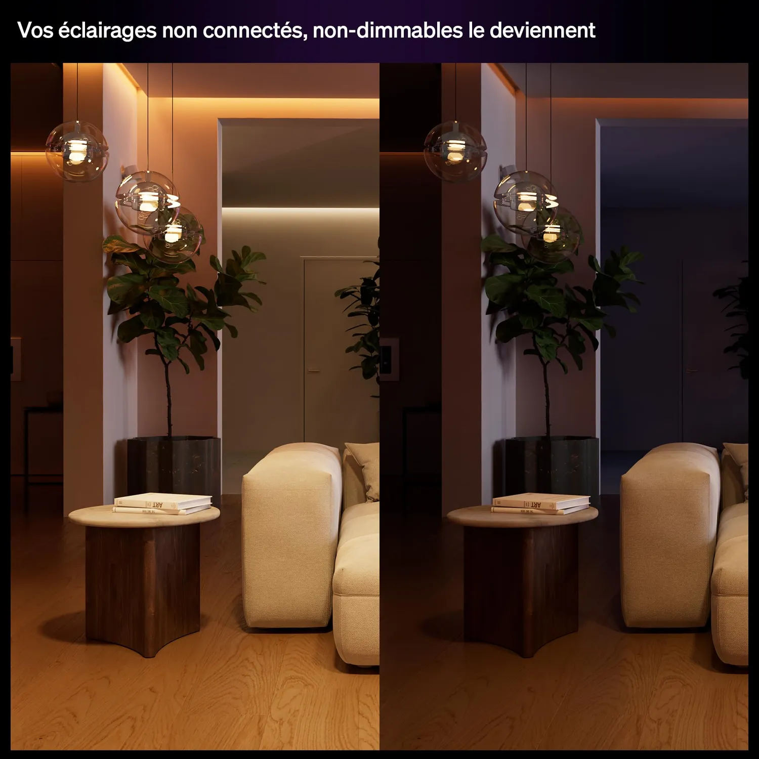 Philips Hue commutateur filaire variateur pack de 1 pour lampes non connectées