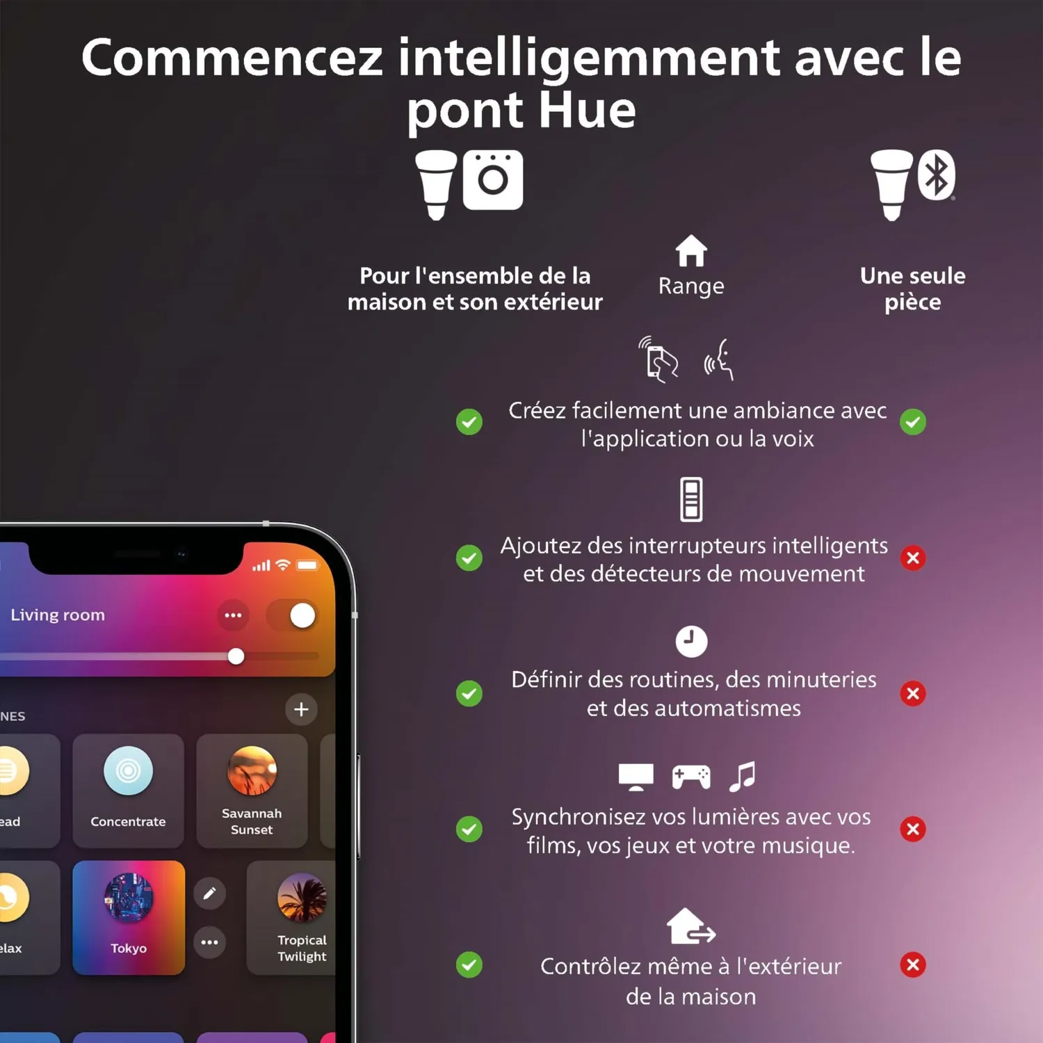 Philips Hue White & Color Econic applique murale extérieure
