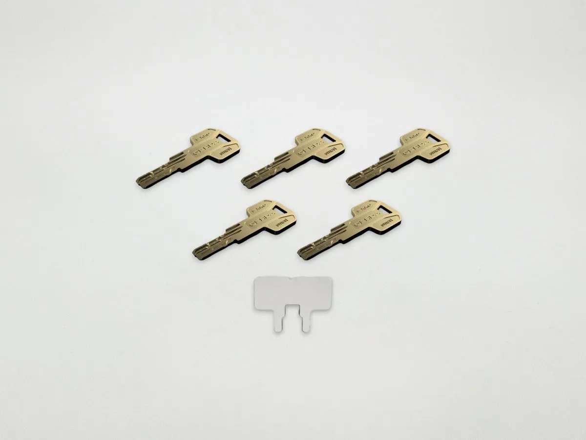 Tedee EXXO SMART out31-62/31-62ins cylindre européen nickel