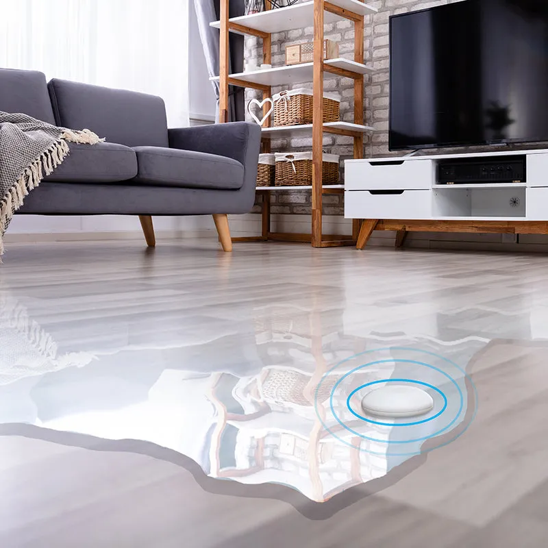 MClimate Flood Sensor détecteur inondation LoRaWAN alarme